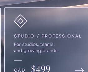 Studio / Professional — CAD 499